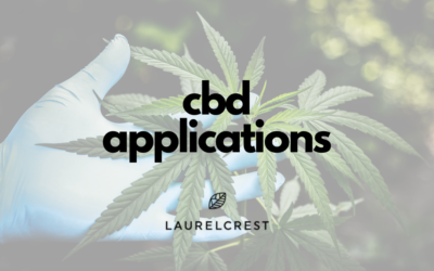 CBD Applications: How & When To Use CBD