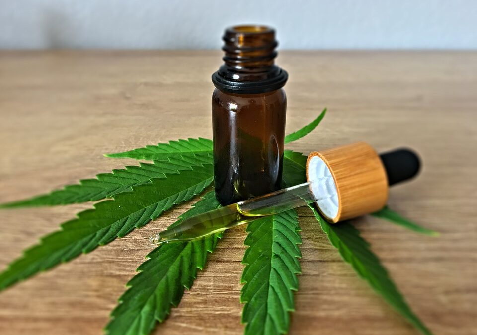 What Is the Difference Between Hemp Oil & CBD Oil? - Laurelcrest