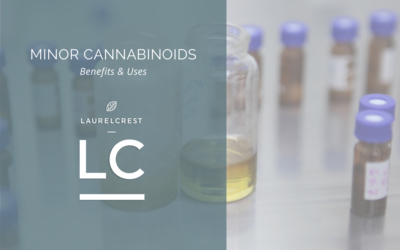 CBC, CBN & Other Minor Cannabinoids: Benefits and Uses